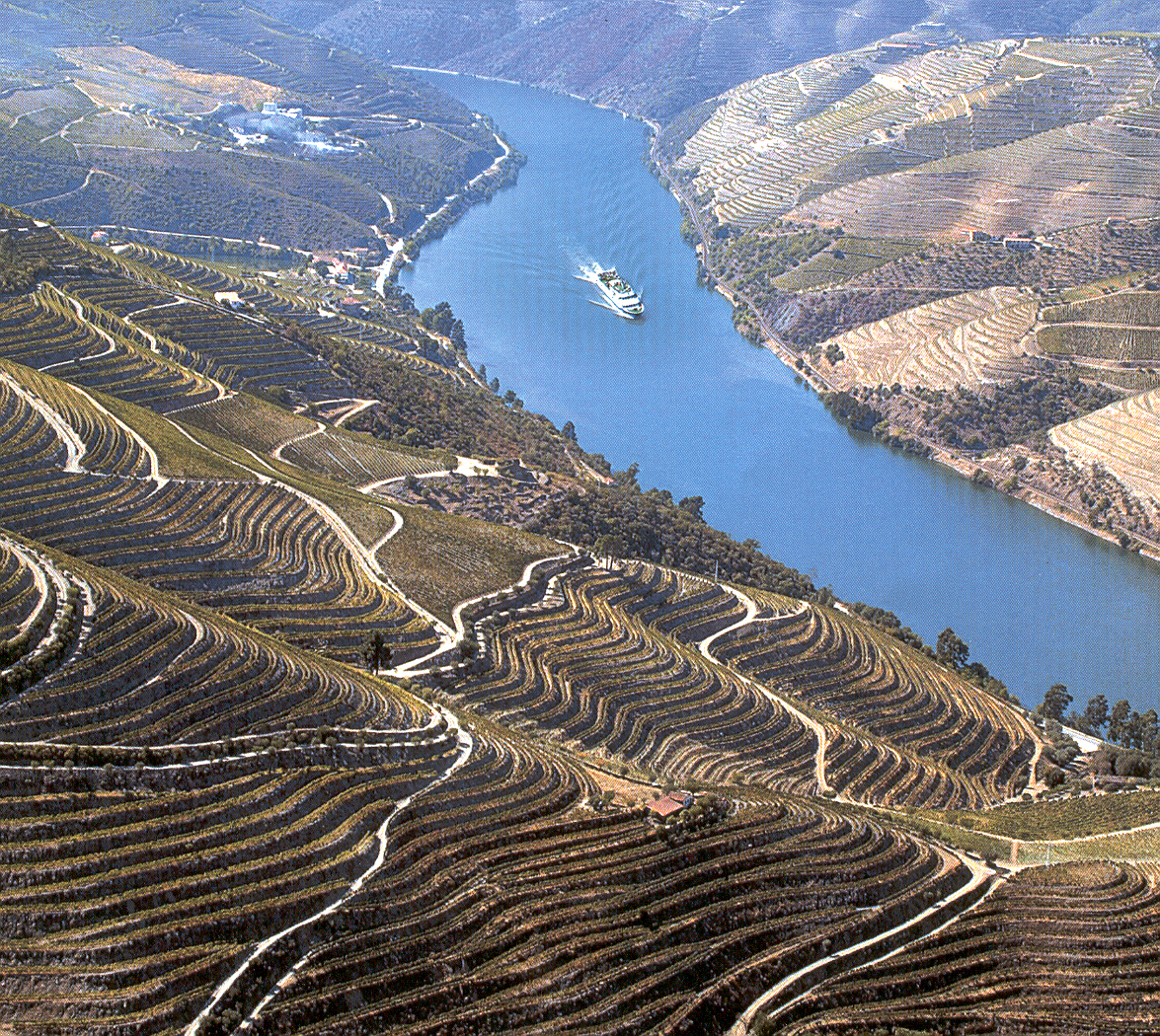 Alto Douro 4