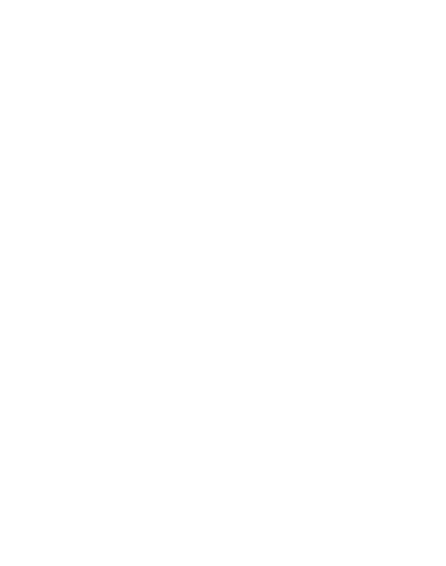 Desarrollo técnico