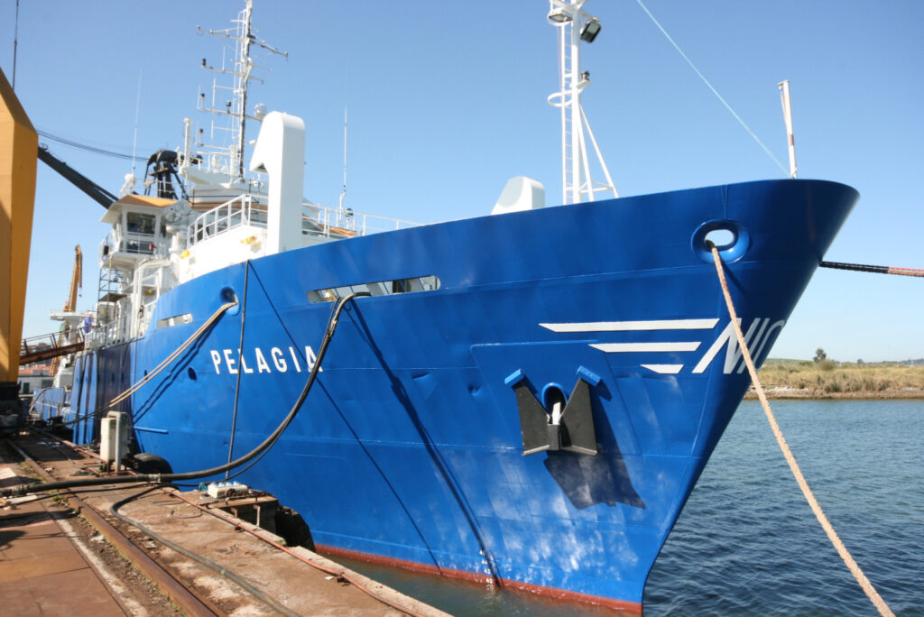 Pelagia 1