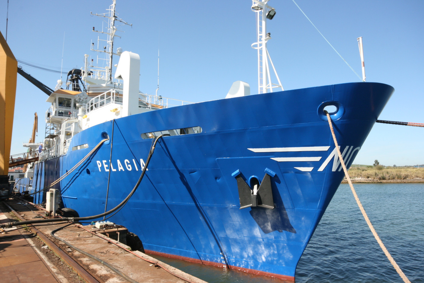 Pelagia 1