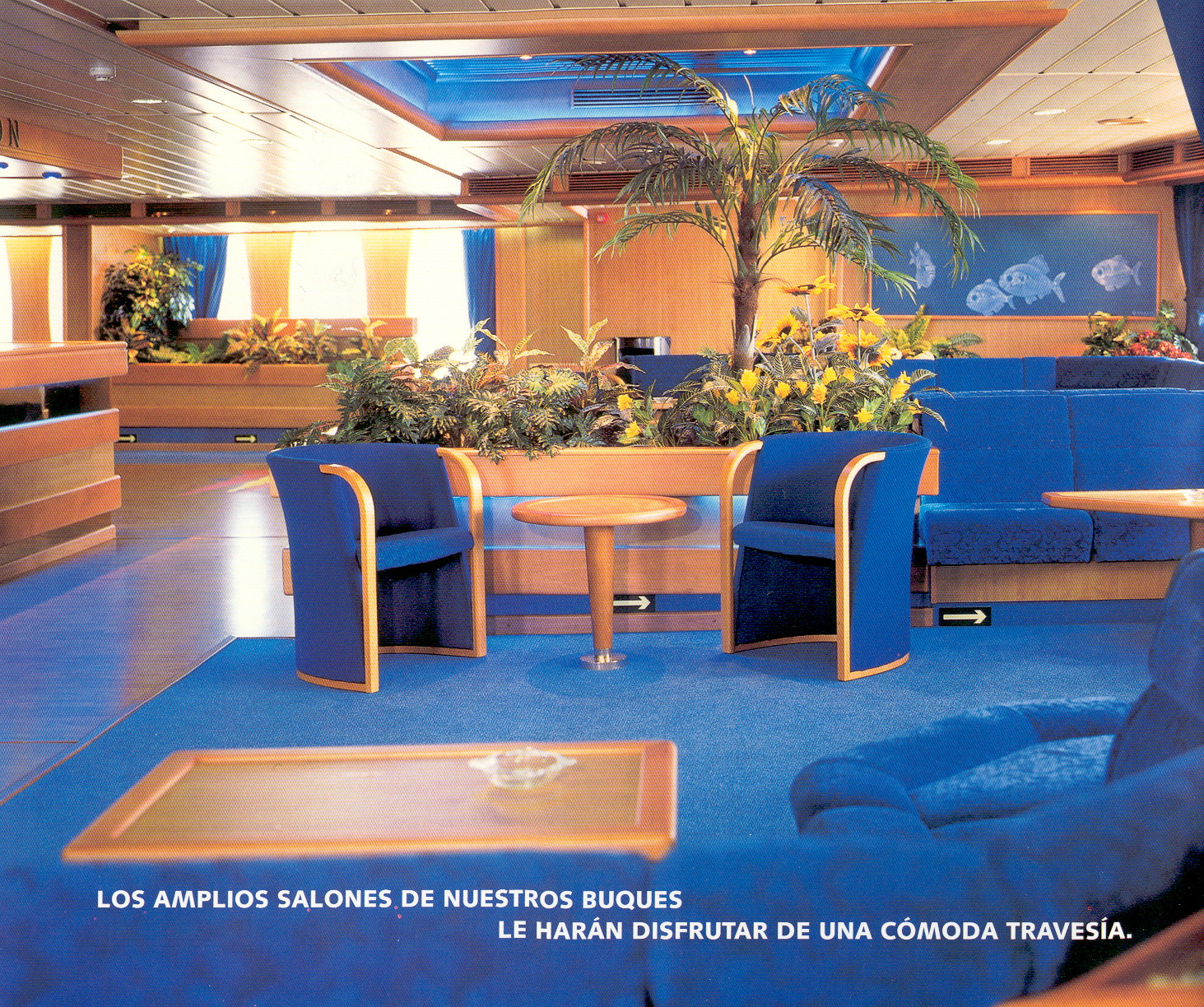 Atlantica 6