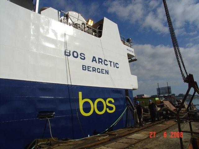 Bos Artic 4