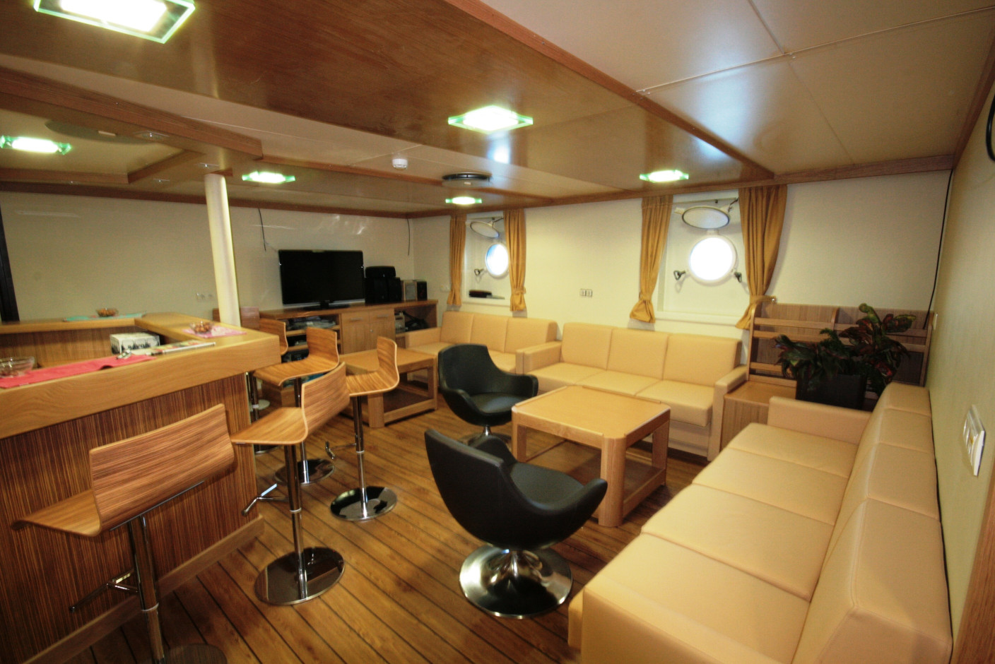 Pelagia 6